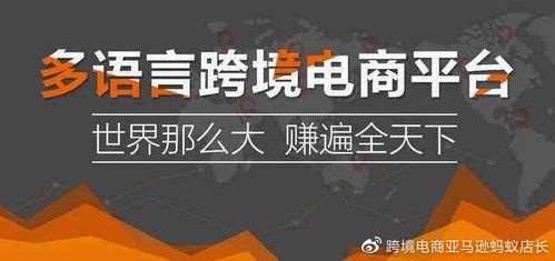跨境電商培訓,亞馬遜培訓,亞馬遜erp系統貼牌定制